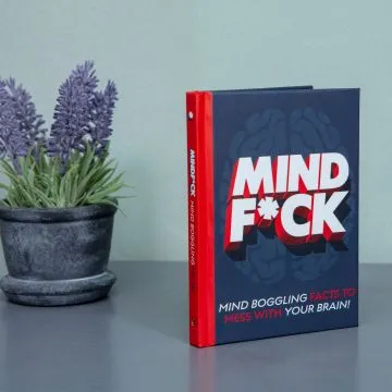 Mindfuck