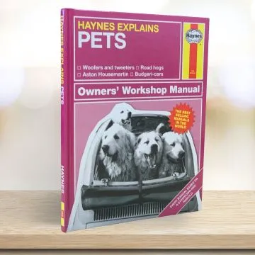 Haynes Pets